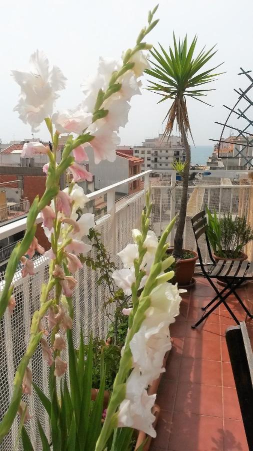 Apartamento Mediterraneo Pineda de Mar Exterior foto